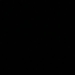 Meet your Posher, Mia